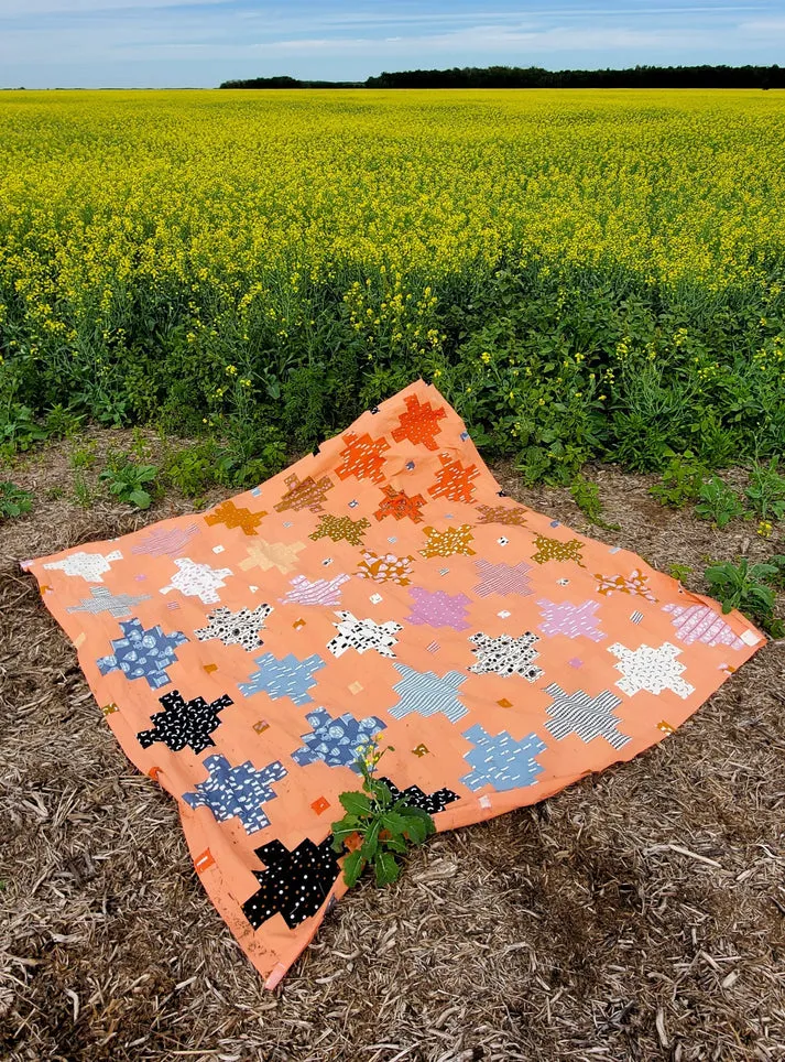 Crumb Coat Quilt Pattern